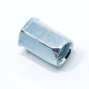 hex insert nut